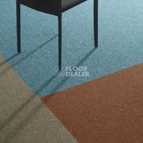 Bloq Tradition Tradition 515 фото 4 | FLOORDEALER
